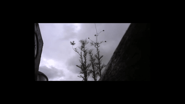 sam andreae Noise Indoors