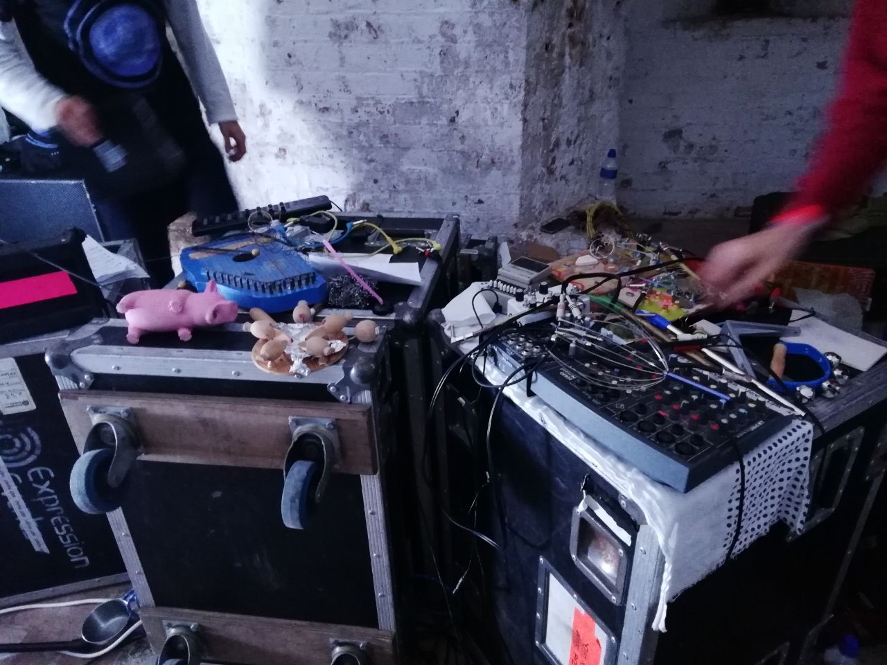 sam andreae Silence Blossoms @ Fort Process Festival